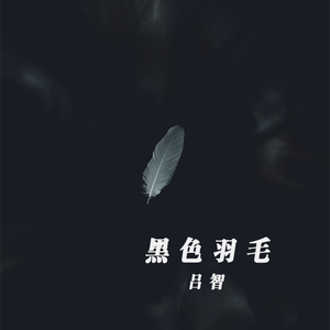 黑色羽毛