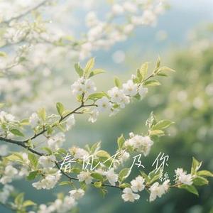 春风不及你