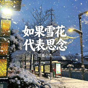 如果雪花代表思念（广场舞DJ版）