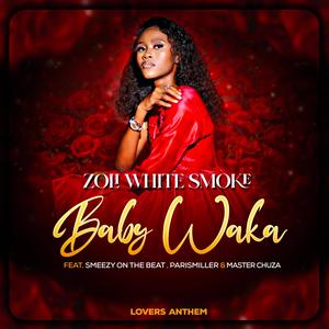Baby Waka (feat. SmeezyOn The Beat, ParisMiller & Master Chuza)