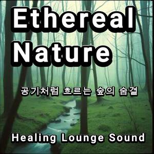 Ethereal Nature – 공기처럼 흐르는 숲의 숨결