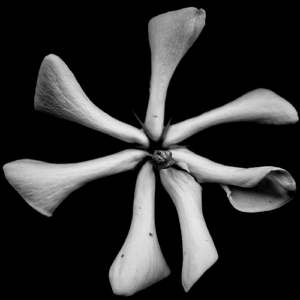 曖昧だけれど幸せな僕等 2022