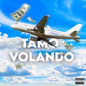 Tamo´ Volando