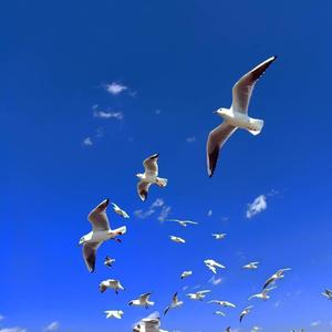 Low (feat. T-Pain)GUCHUNYIRemix