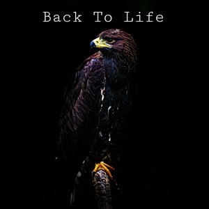 Back to Life