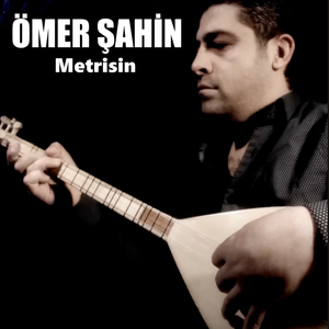 Metrisin