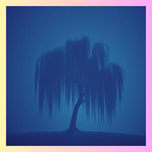 O PANIE ZMIŁUJ SIĘ