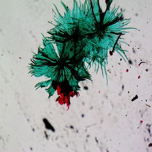 Raincloud - Untitled (81 Remix)