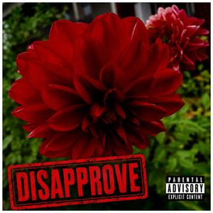 Dissaprove