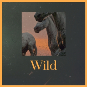 La Plata (Modern Tropical House)