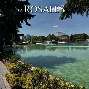Rosales
