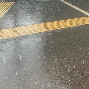 我只能离开（就像那场从未停过的雨 就像你从未忘记）