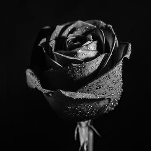 Snitchin' (Instrumental) (Instrumental)