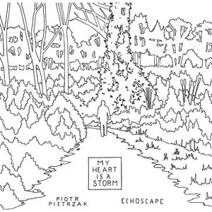 Travel Afar