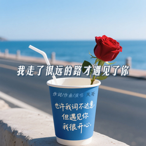 我走了很远的路才遇见了你