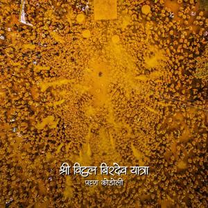 Birdev song patankodoli