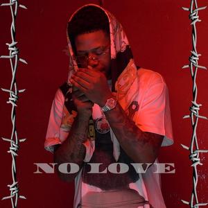 NO LOVE (feat. Ray diamond)