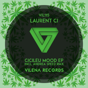 Cicileu Mood (Original Mix)