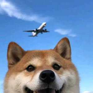 快乐天空之约.mp3