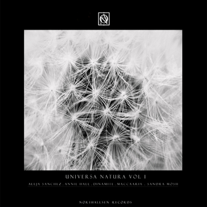 Pildammen (Original Mix)