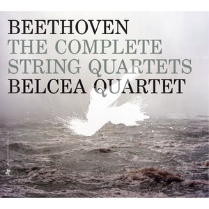 String Quartet No. 3 in D Major, Op. 18 No. 3: III. Allegro