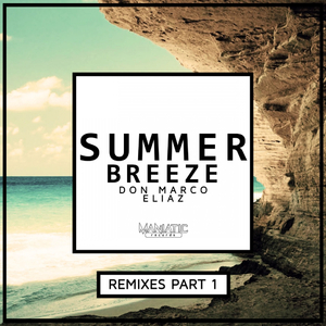 Summer Breeze (Shivam Rajput Remix)