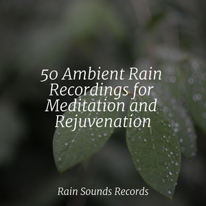 Feathered Rain Dance