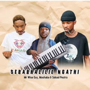 SEBABHALILE NGATHI