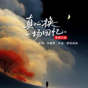 真心换一场回忆