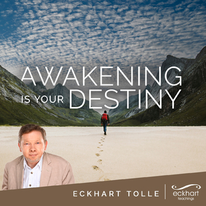 Giving Attention Without Thinking