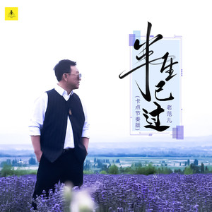 半生已过 (卡点节奏版)