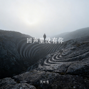 回声里没有你