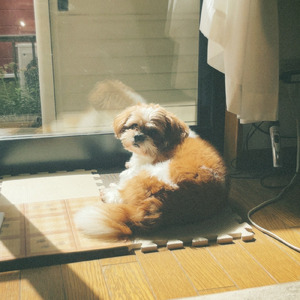 とるにたらないはなし