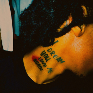 I Dream You Love Me Again