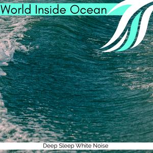 Let Hold Some Carolina Noise