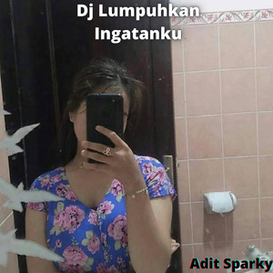 Dj Lumpuhkan Ingatanku