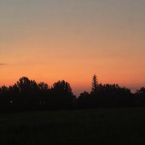 Afrobeat Type Beat x Dancehall-Ayra Starr“Commas”Type Beat 100Bpm