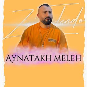 Aynatakh Meleh