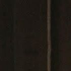 坚定的信心-整曲 伴奏