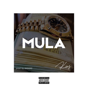 Mula