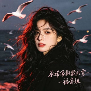 承诺像飘散的雪 (DJ涵涵版)