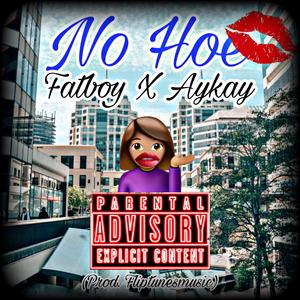 No Hoe (No Scrub RMX) (feat. Aykay)
