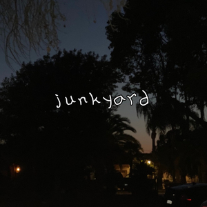 Junkyard (feat. Carsan)