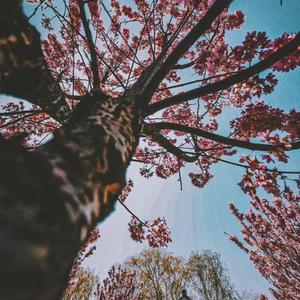 kai不了kou（Prod by Furyl＆4_Chords）