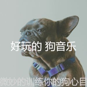 有趣小狗情怀