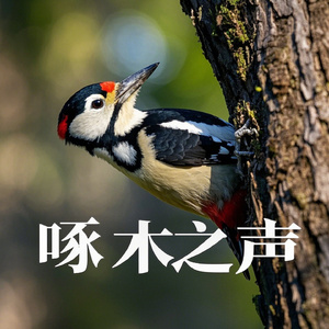 钢琴声啄木鸟声：静谧啄木、悠扬钢琴、温和微风