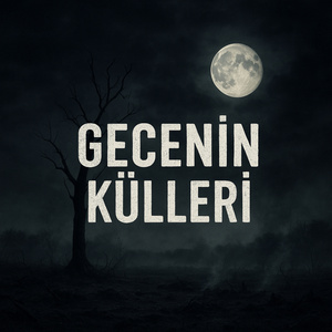 Gecenin Külleri