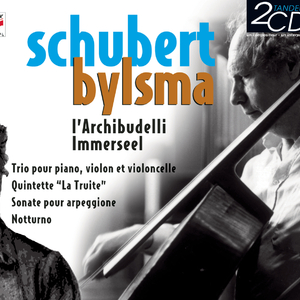 Arpeggione Sonata in A Minor, D. 821:III. Allegretto