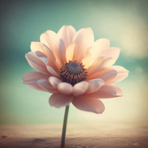 Forever Starts with You