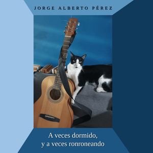 A veces dormido, y a veces ronroneando (Radio Edit)